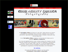 Tablet Screenshot of agilitychiluca.com.mx